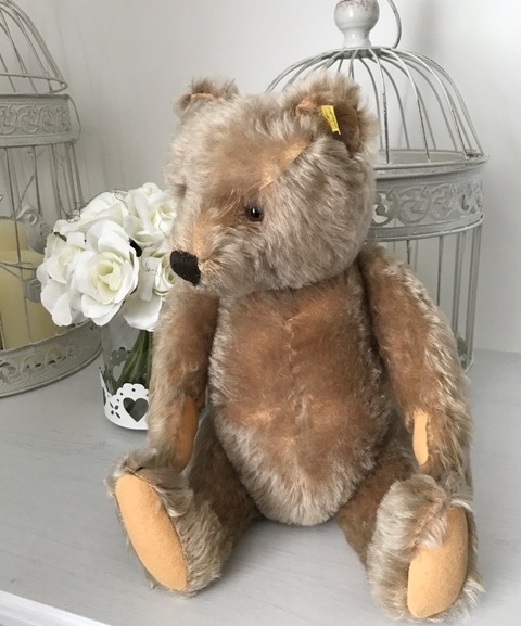 1950's steiff teddy bear